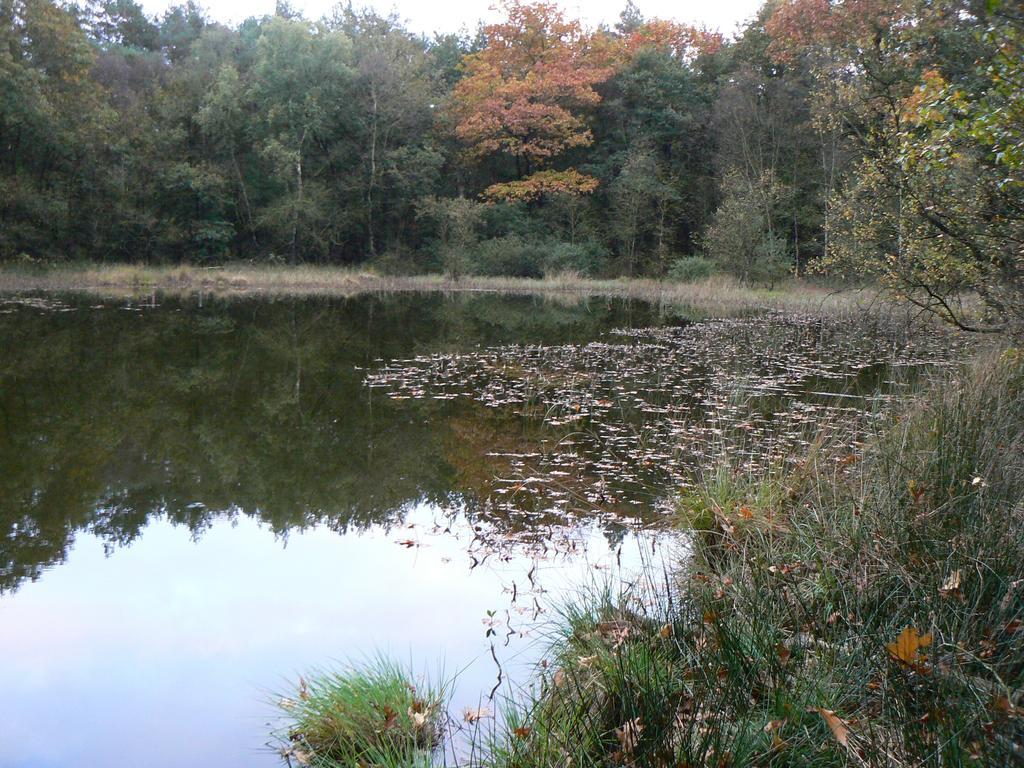 Hoeve Den Anholt Villa Ruinen Exteriör bild