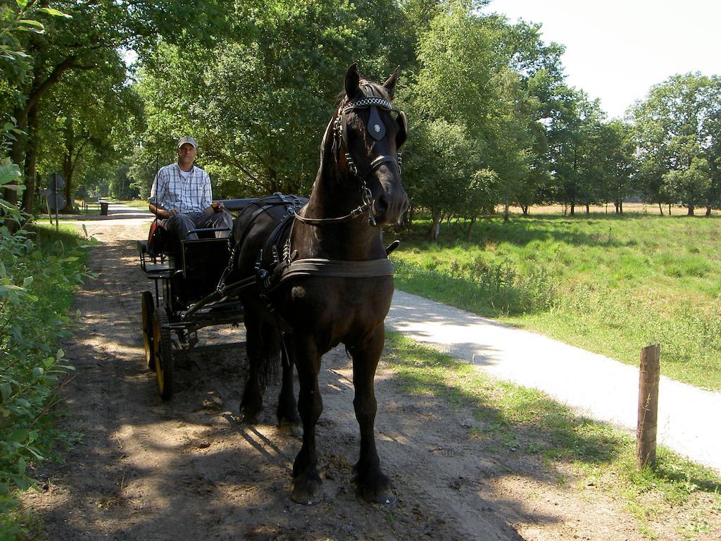 Hoeve Den Anholt Villa Ruinen Exteriör bild