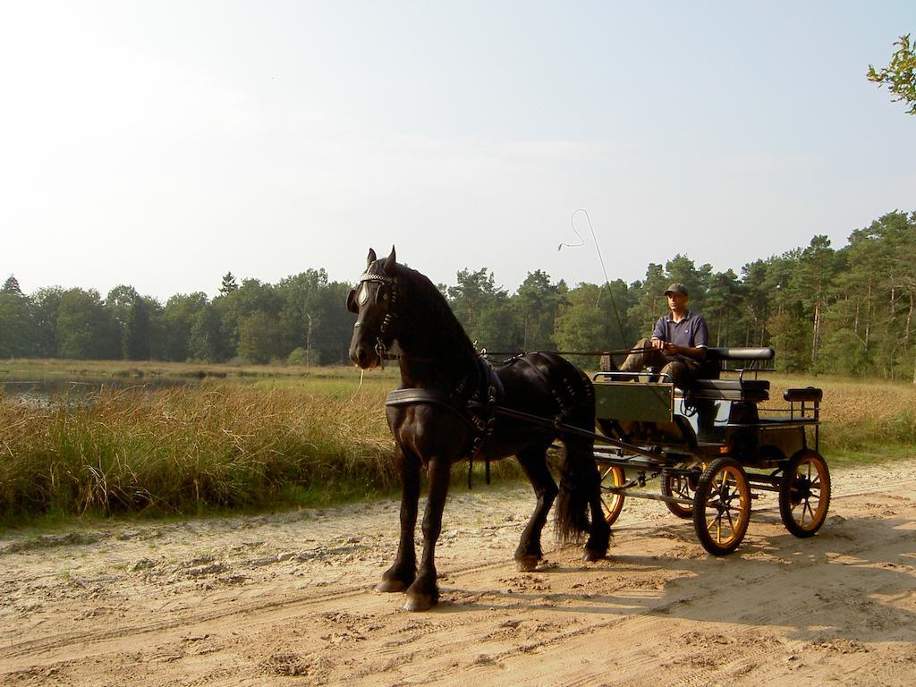Hoeve Den Anholt Villa Ruinen Exteriör bild