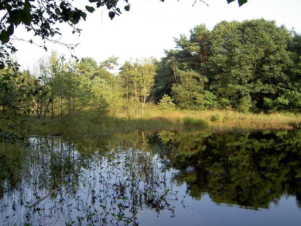 Hoeve Den Anholt Villa Ruinen Exteriör bild