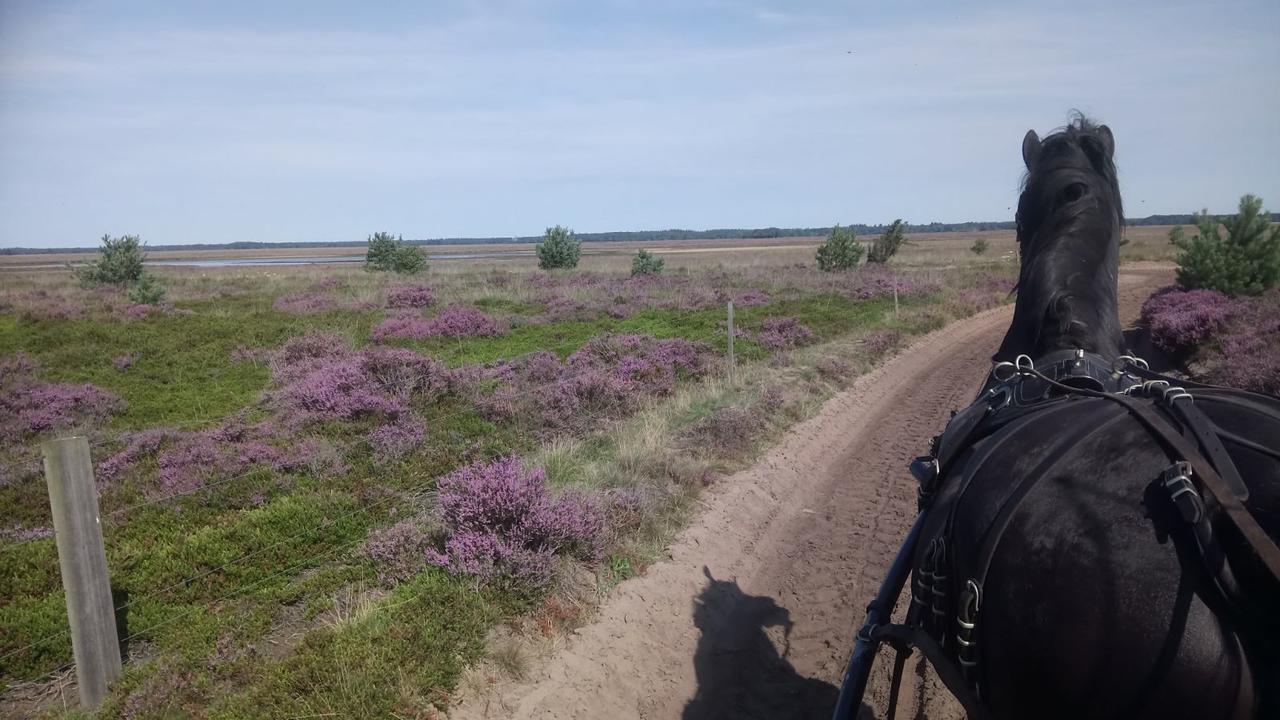 Hoeve Den Anholt Villa Ruinen Exteriör bild