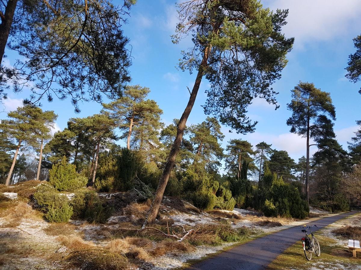 Hoeve Den Anholt Villa Ruinen Exteriör bild