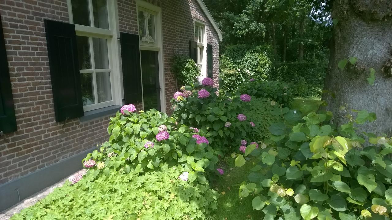 Hoeve Den Anholt Villa Ruinen Exteriör bild