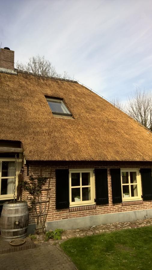 Hoeve Den Anholt Villa Ruinen Exteriör bild