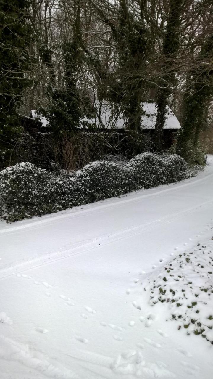Hoeve Den Anholt Villa Ruinen Exteriör bild
