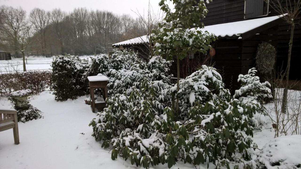 Hoeve Den Anholt Villa Ruinen Exteriör bild