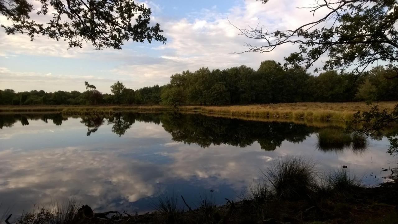 Hoeve Den Anholt Villa Ruinen Exteriör bild