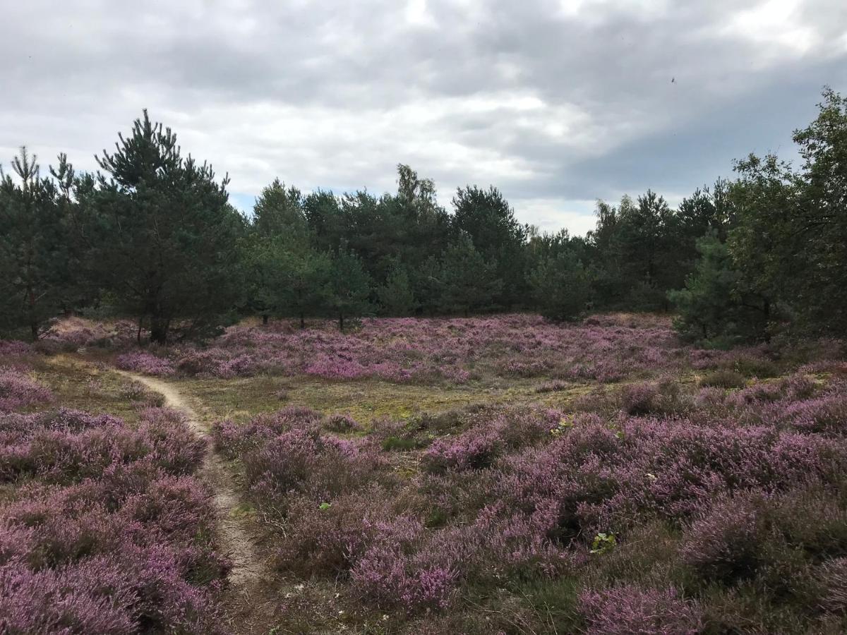 Hoeve Den Anholt Villa Ruinen Exteriör bild