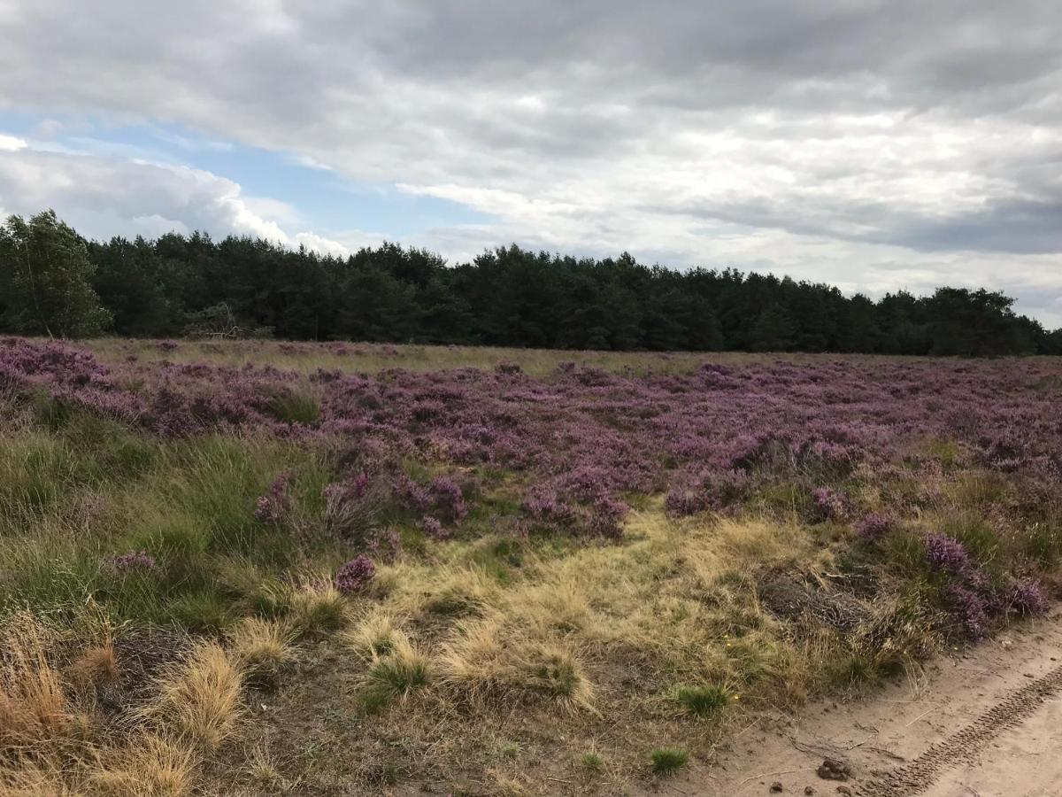 Hoeve Den Anholt Villa Ruinen Exteriör bild