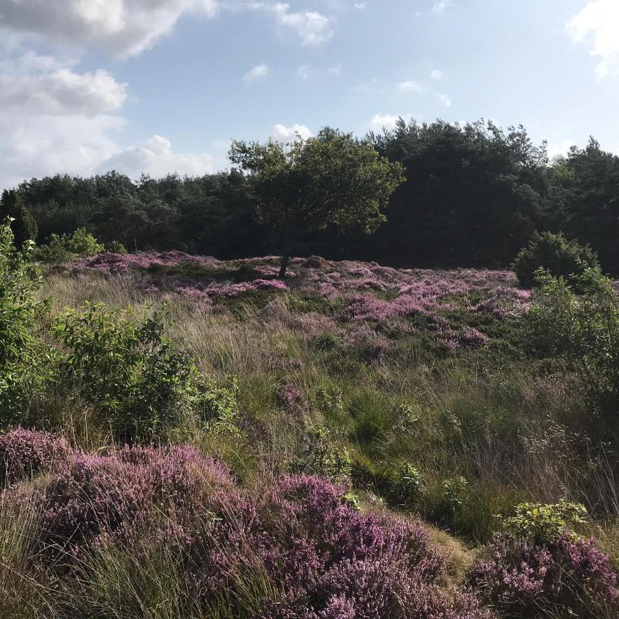 Hoeve Den Anholt Villa Ruinen Exteriör bild