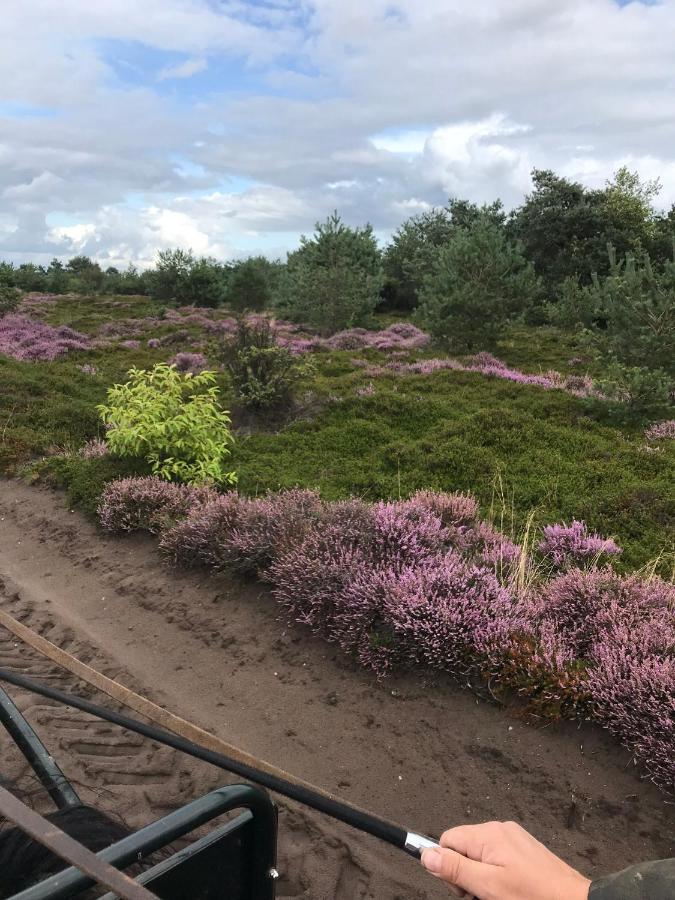 Hoeve Den Anholt Villa Ruinen Exteriör bild