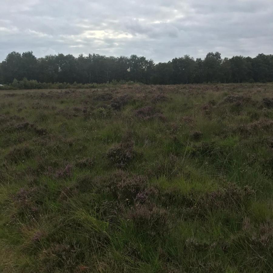 Hoeve Den Anholt Villa Ruinen Exteriör bild