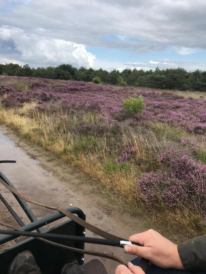 Hoeve Den Anholt Villa Ruinen Exteriör bild