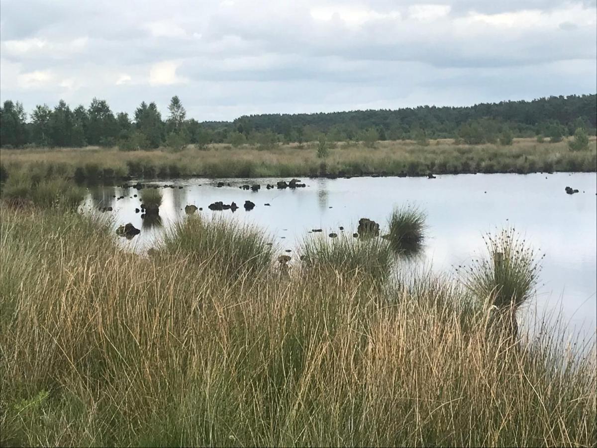 Hoeve Den Anholt Villa Ruinen Exteriör bild